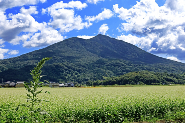 筑波山